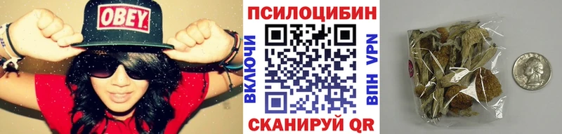Галлюциногенные грибы прущие грибы  цена   Каргат 